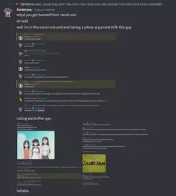 Helena Discord Message 7.png