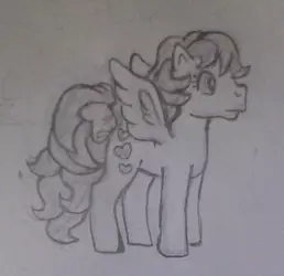 Real Sketch 11.jpg