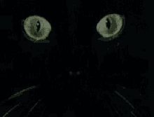 two.gif