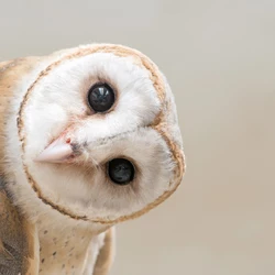 AdobeStock_103314840.jpg