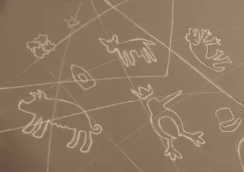 Nazkiwi Lines Final.png