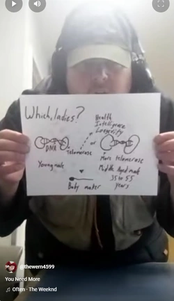 wernwtf.jpg