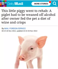 Screenshot_20250114-030319.png
