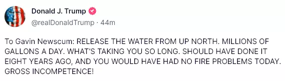 1736830506973.png