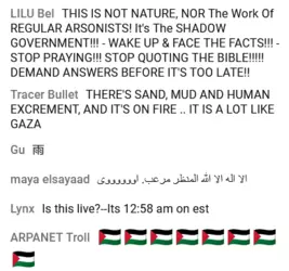 1736834357229.png