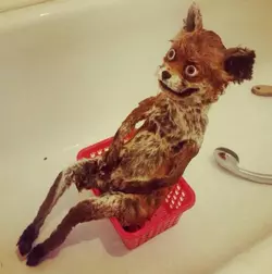 bathtime.png