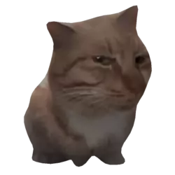 1736868262348.png