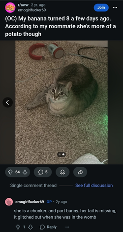 1000017220.jpg