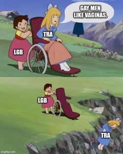 1736989786427.jpeg