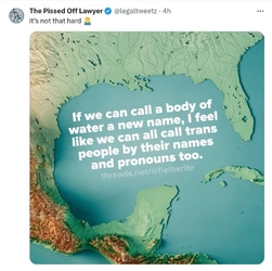 1736990222334.jpeg