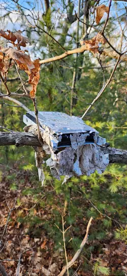 found-a-hard-drive-in-a-tree-in-the-woods-v0-h1fZTeKmBJZgw7JWtAXdjAQjsUBCjZUSBwFiXN8c5Ys.webp