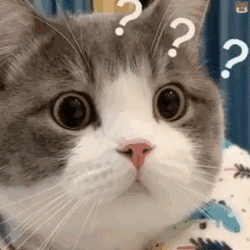 6.gif