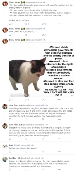 cat.jpg