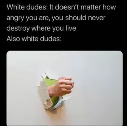 1737018417969.png