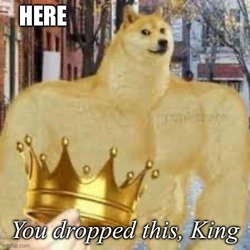 72z9xd.jpg