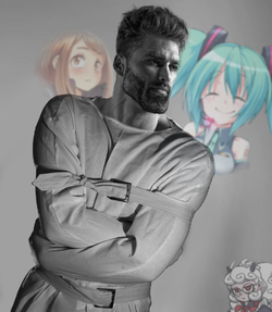 madchad anines.jpg