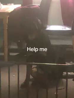 1737061205506.png