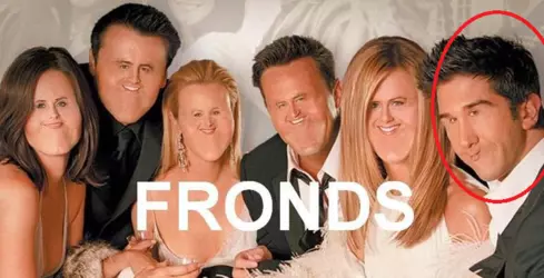 fronds.png