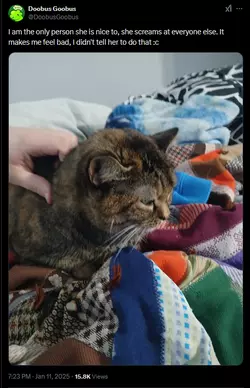 anothergaycattweet.png
