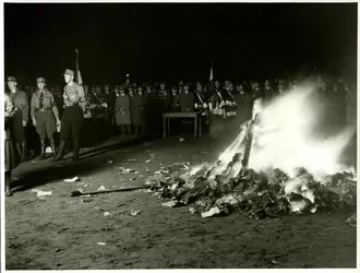 book burning.jpg