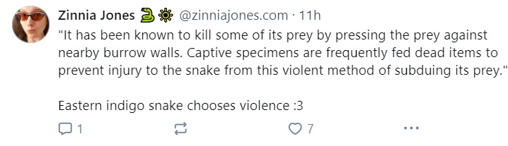 snake.jpg