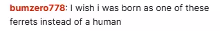 piroachaidswareviewer.png