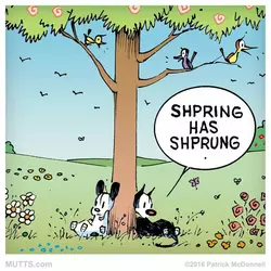 image_2025-01-17_120027411.png
