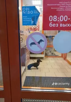 1662944718999.png