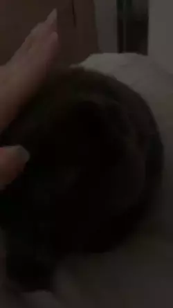 1737159576704.png