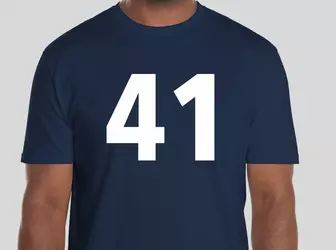 41.png