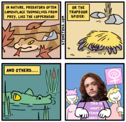 1000016387.png