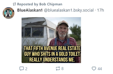 toilet.jpg