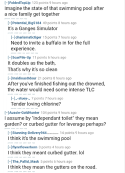 DESIGNATED SHITTY POOL.jpg
