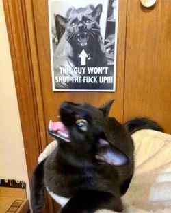 CE43C7FA-9D8D-4765-AEEF-876E725E3C2F.jpeg