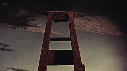 n4m65p1gmnde1.gif