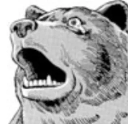astonished.bear.blurry.jpg