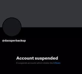 Screenshot 2025-01-18 at 23-21-26 Profile _ X.png