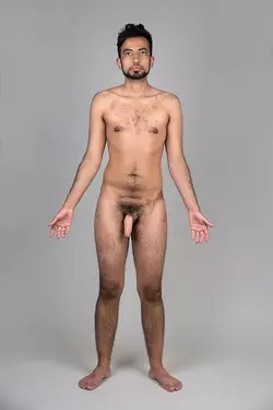 1737286587759.png