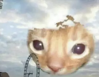 1737290338405.png