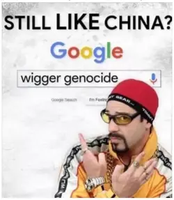 67ucxgg4g4h91.jpg
