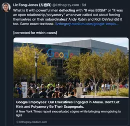you wouldn't idolize liz fong jones 2.png