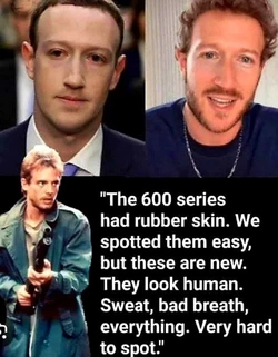 a13c25a169134f8e.jpg