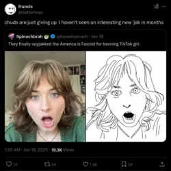 1737327085946.png