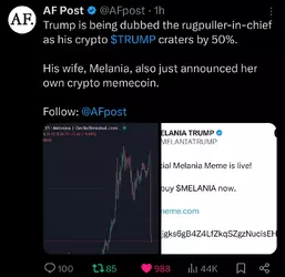 Screenshot_20250119_173217_X.png