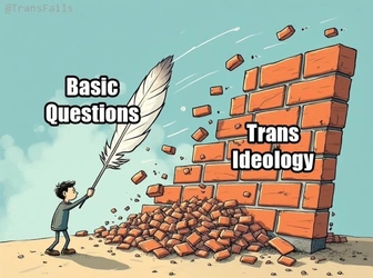 1737354186981.jpeg