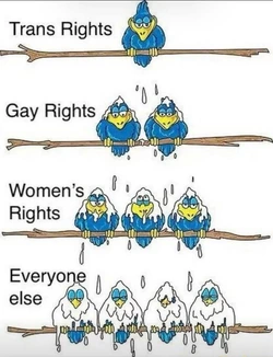 1737354219136.jpeg