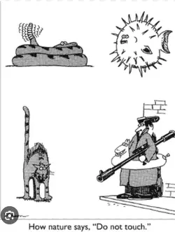 what-is-your-favourite-far-side-cartoon-by-gary-larson-v0-r3uno5ll1i8e1.jpeg