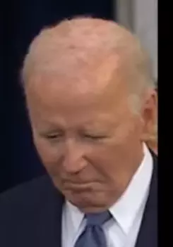 1737393597655.png