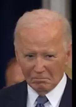 1737393616145.png