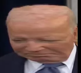 1737393632545.png